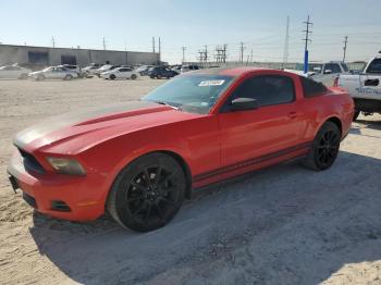  Salvage Ford Mustang