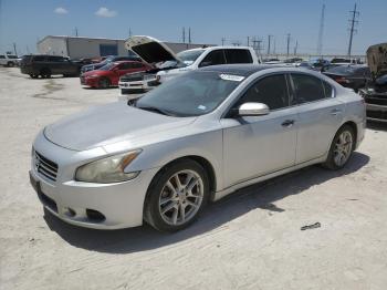  Salvage Nissan Maxima