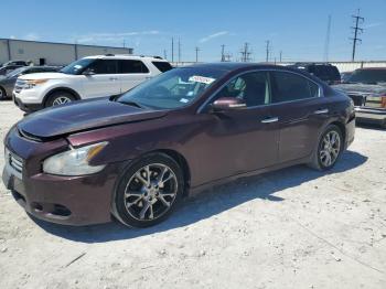  Salvage Nissan Maxima