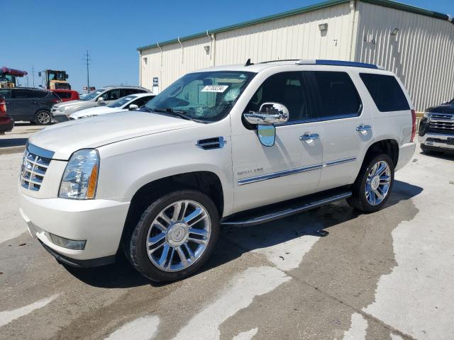  Salvage Cadillac Escalade