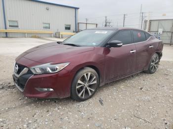  Salvage Nissan Maxima