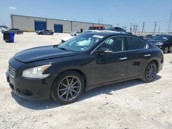  Salvage Nissan Maxima