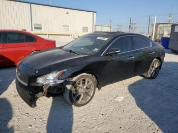  Salvage Nissan Maxima