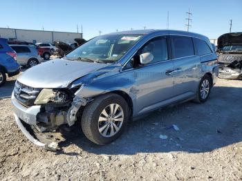  Salvage Honda Odyssey