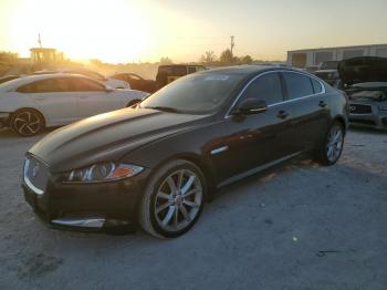  Salvage Jaguar XF