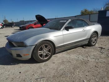  Salvage Ford Mustang