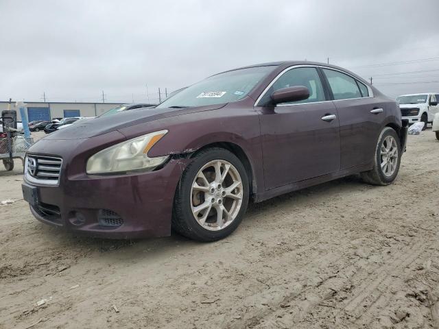  Salvage Nissan Maxima