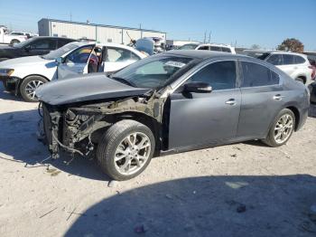  Salvage Nissan Maxima