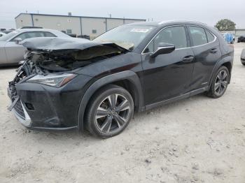  Salvage Lexus Ux