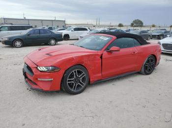  Salvage Ford Mustang