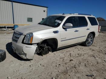  Salvage Cadillac Escalade