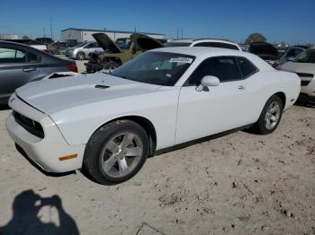  Salvage Dodge Challenger