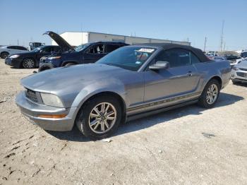  Salvage Ford Mustang