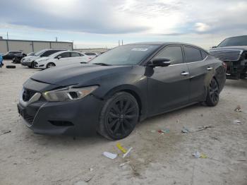  Salvage Nissan Maxima