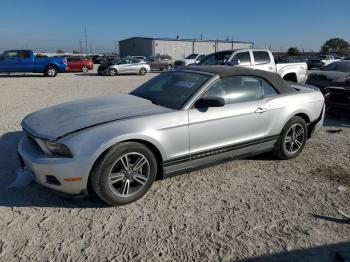  Salvage Ford Mustang