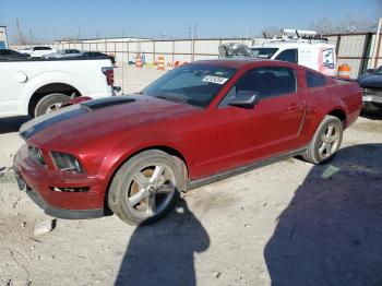  Salvage Ford Mustang