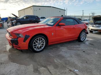  Salvage Ford Mustang