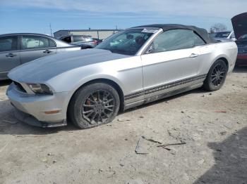  Salvage Ford Mustang