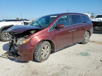  Salvage Honda Odyssey