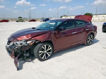  Salvage Nissan Maxima