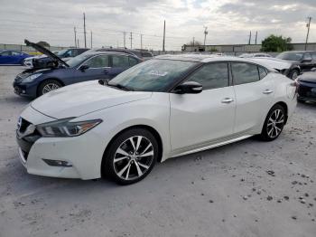  Salvage Nissan Maxima