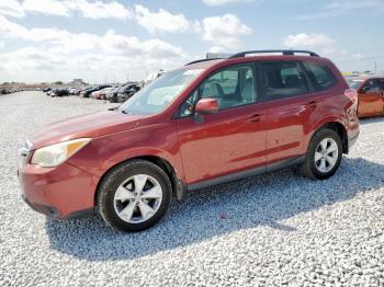  Salvage Subaru Forester