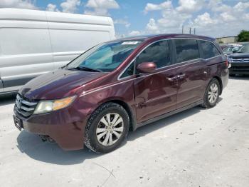  Salvage Honda Odyssey