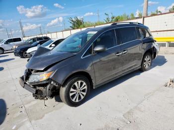  Salvage Honda Odyssey