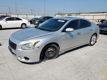  Salvage Nissan Maxima