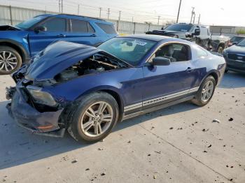  Salvage Ford Mustang