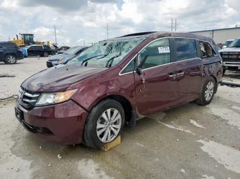  Salvage Honda Odyssey