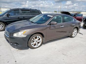  Salvage Nissan Maxima