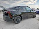 Tesla Model Y Image 3