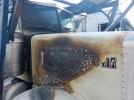 Peterbilt 379 Image 3