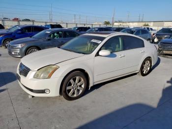  Salvage Nissan Maxima