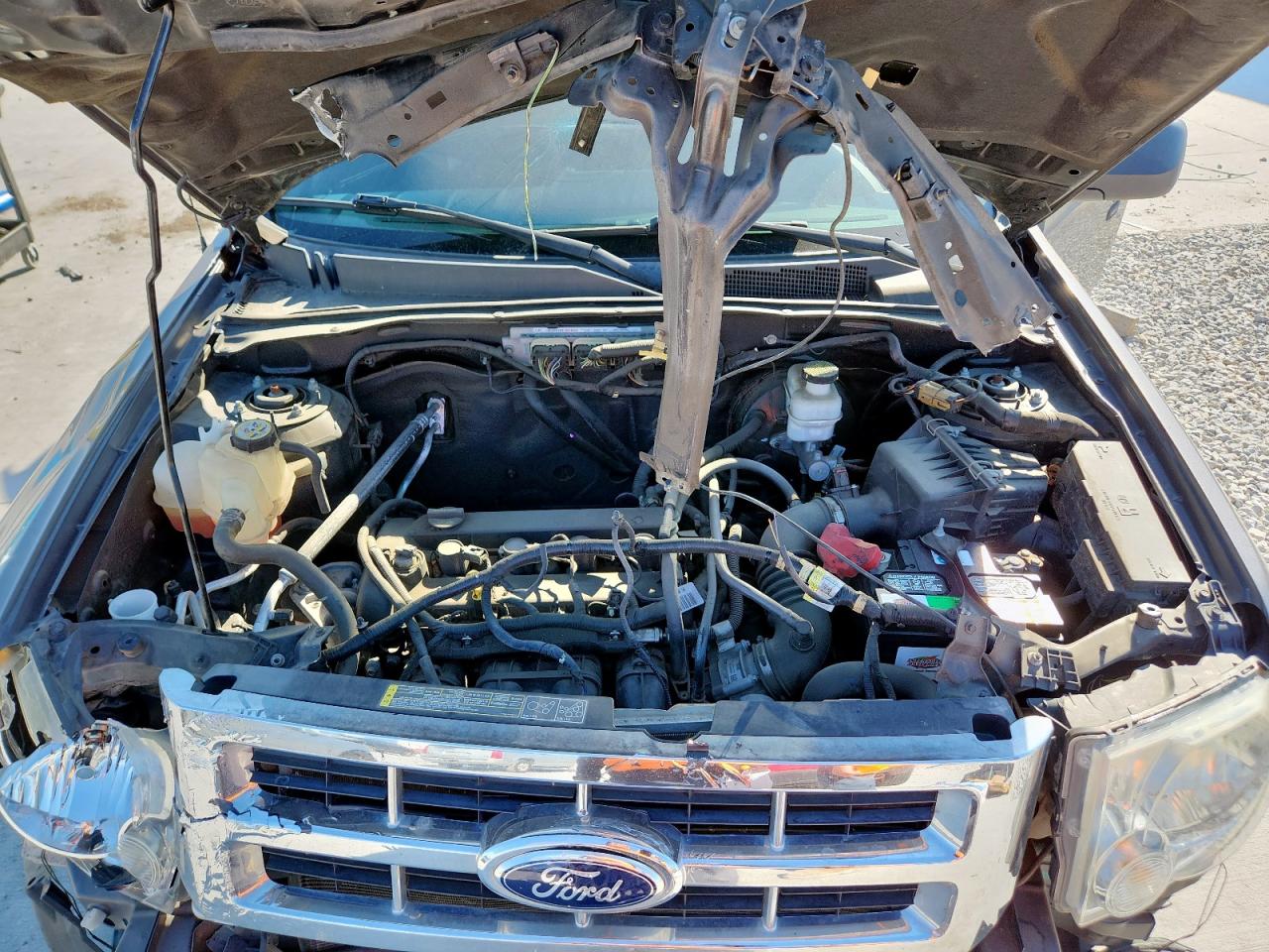 Ford Escape Xlt Image 6