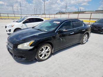  Salvage Nissan Maxima