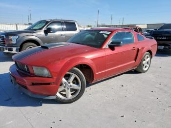  Salvage Ford Mustang
