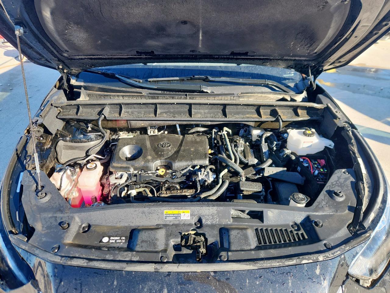 Toyota Highlander Hybrid Bronze Edition Image 6