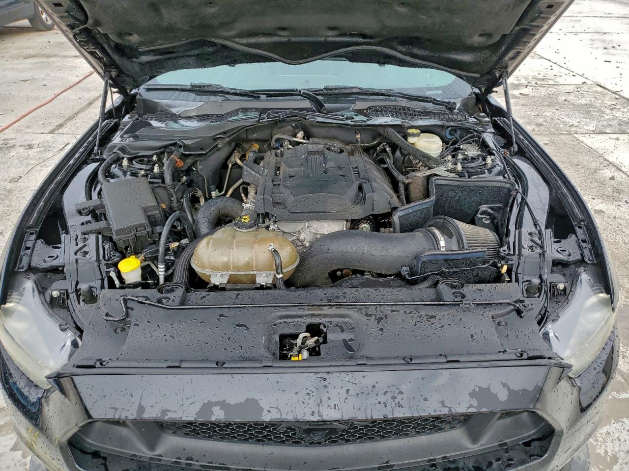 Ford Mustang Image 12