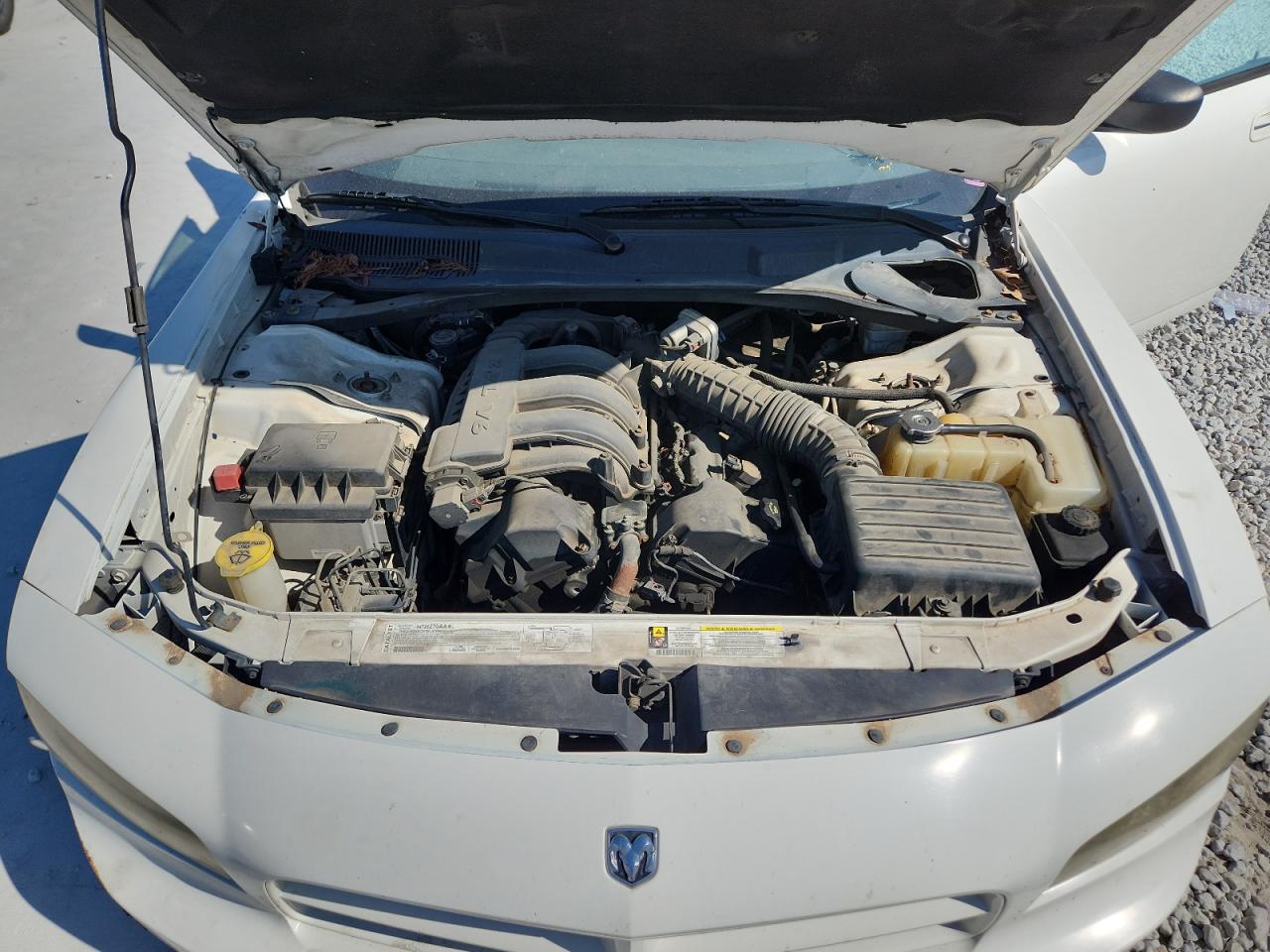 Dodge Charger Se Image 7