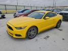 Ford Mustang Image 1