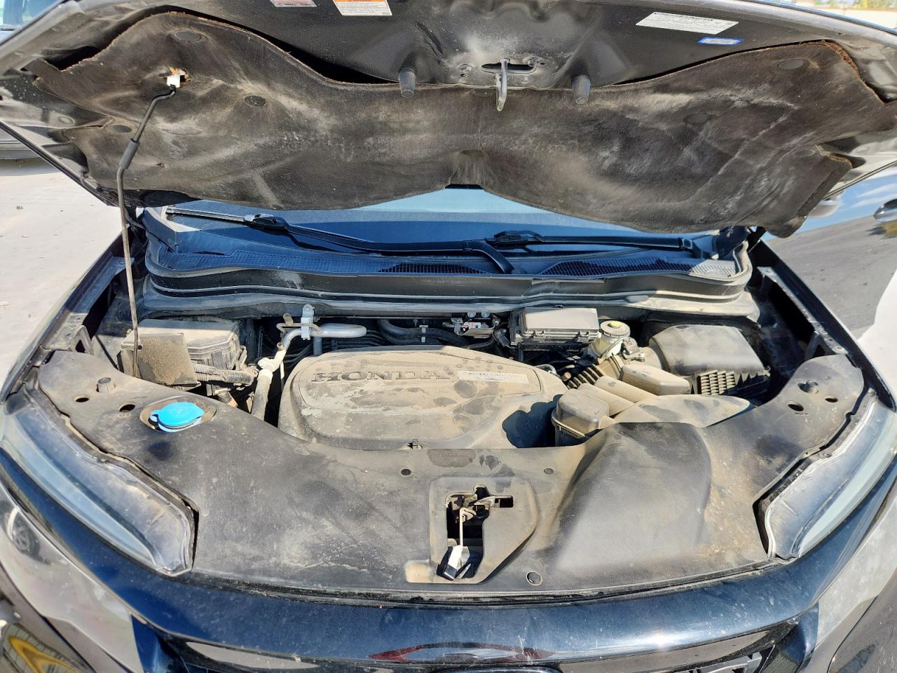 Honda Passport Sport Image 6