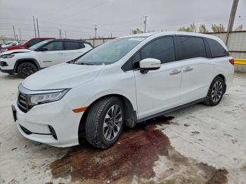 Salvage Honda Odyssey