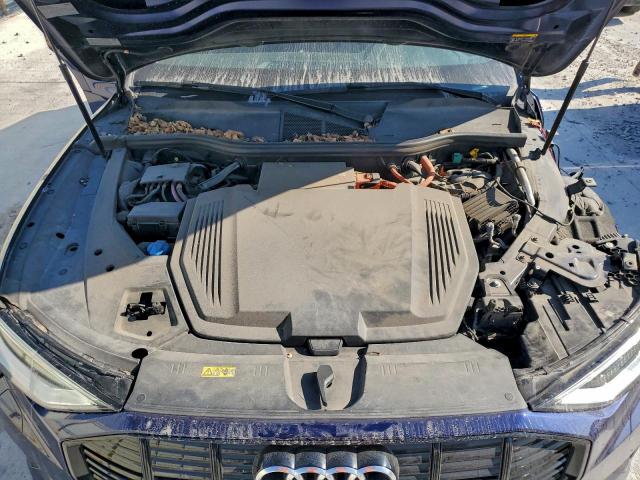 Audi e-tron Premium Image 9