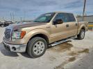 Ford F-150 Supercrew Image 1