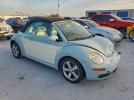 Volkswagen Beetle Image 7