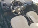 Volkswagen Beetle Image 11