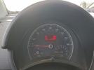 Volkswagen Beetle Image 10