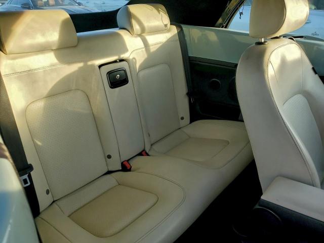 Volkswagen Beetle Image 6